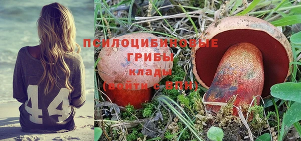 амф Киреевск